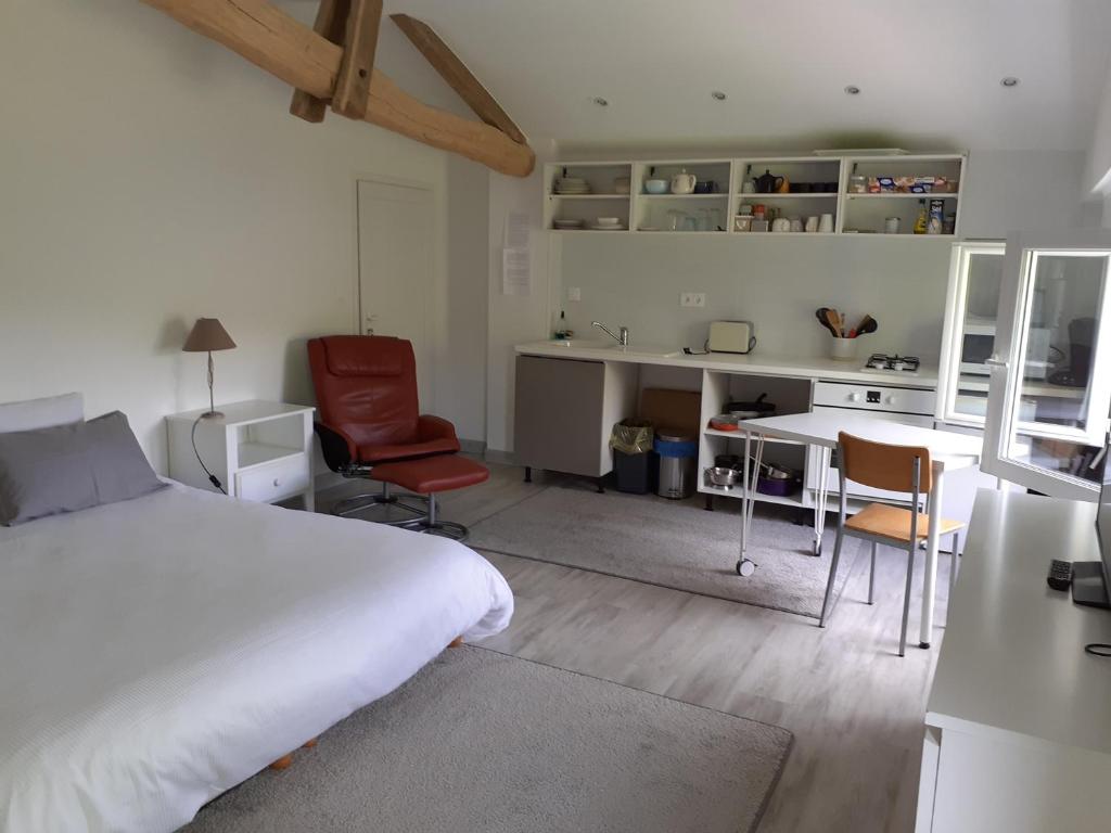 Studio grand confort photo 1