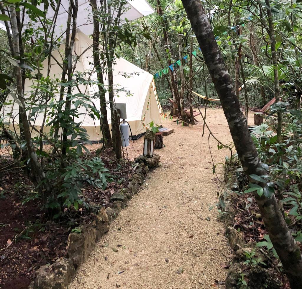 Glamping Mama Loo MM - Tap to explore photos