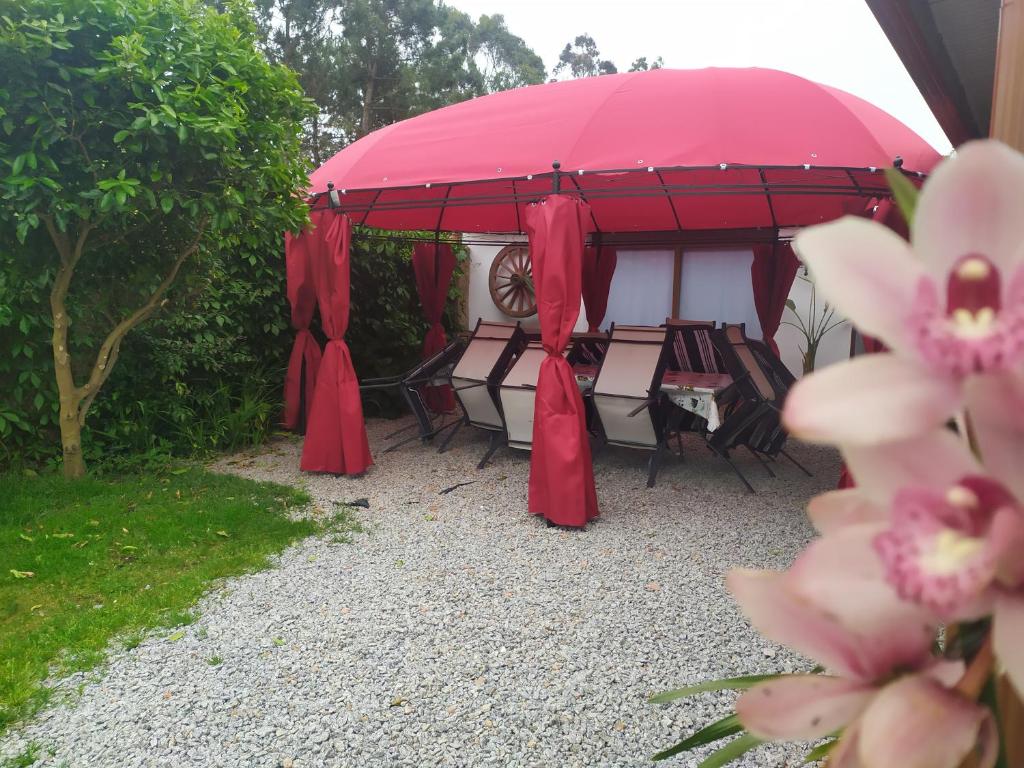 O Pazo photo 3