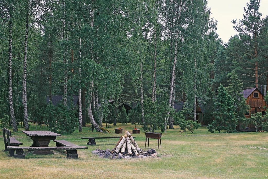 Niidupuu Camping photo 1