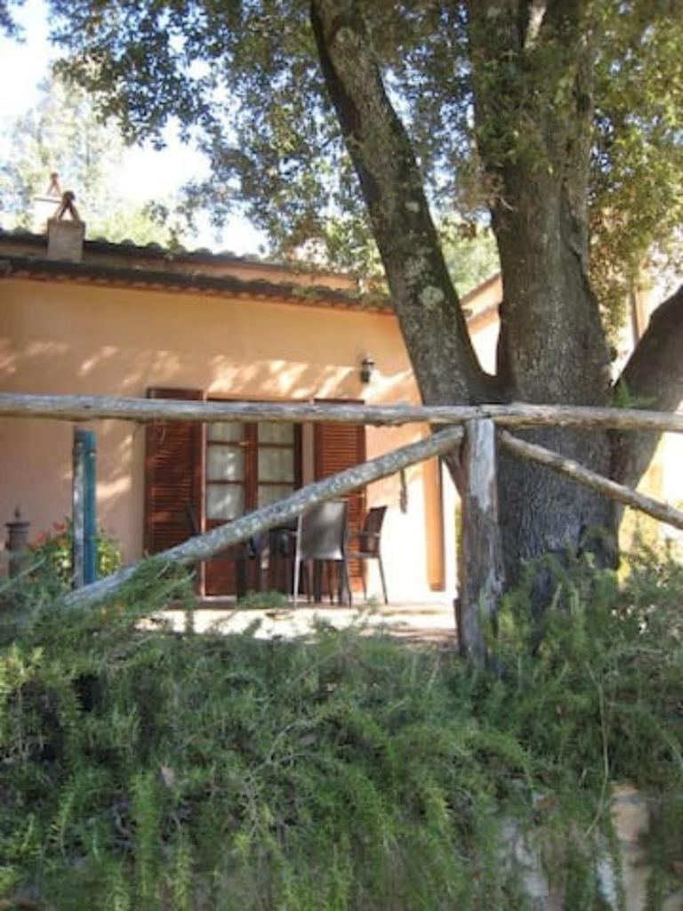 Appartamento Il Leccio Pian delle more photo 1