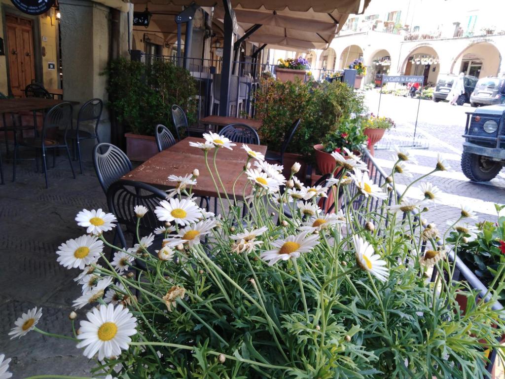 Albergo Giovanni Da Verrazzano photo 2
