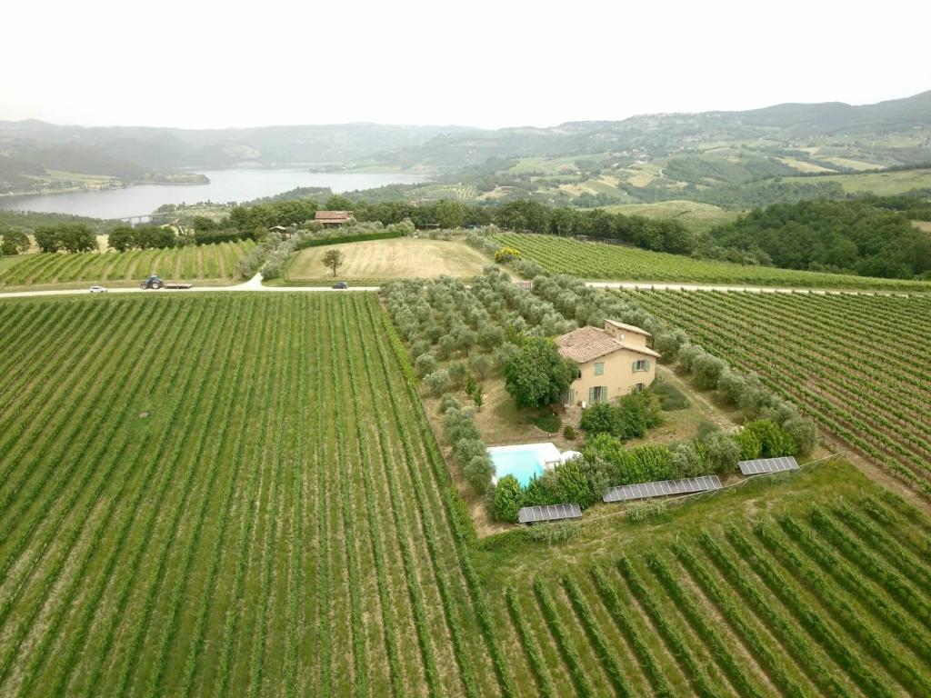 Località Poggio Capriolo Il Casale dei Ciliegi photo 1