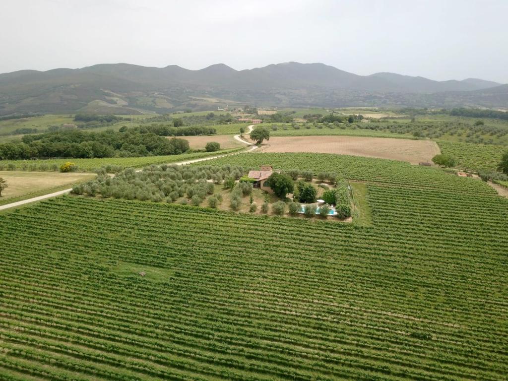 Località Poggio Capriolo Il Casale dei Ciliegi photo 2