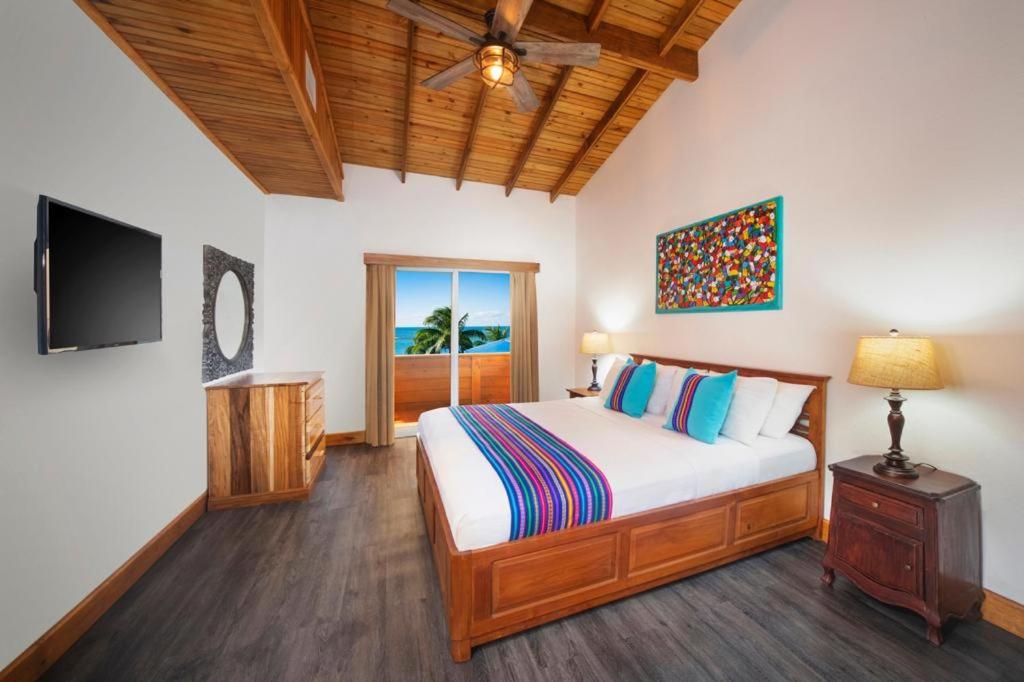 Mr. Tucan Hotel photo 1