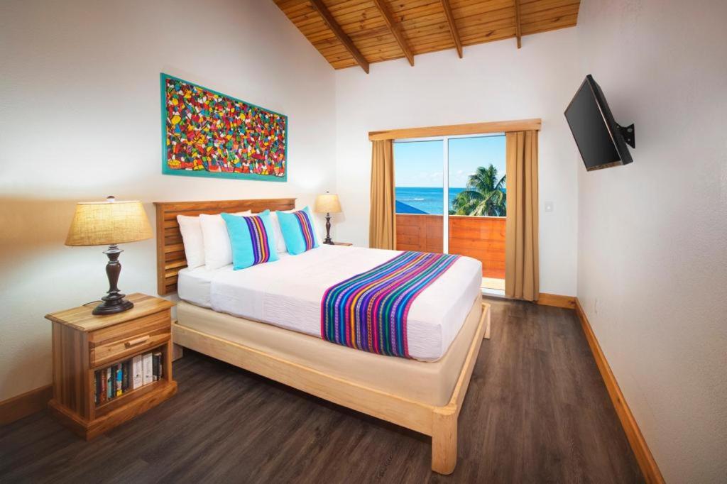 Mr. Tucan Hotel photo 3