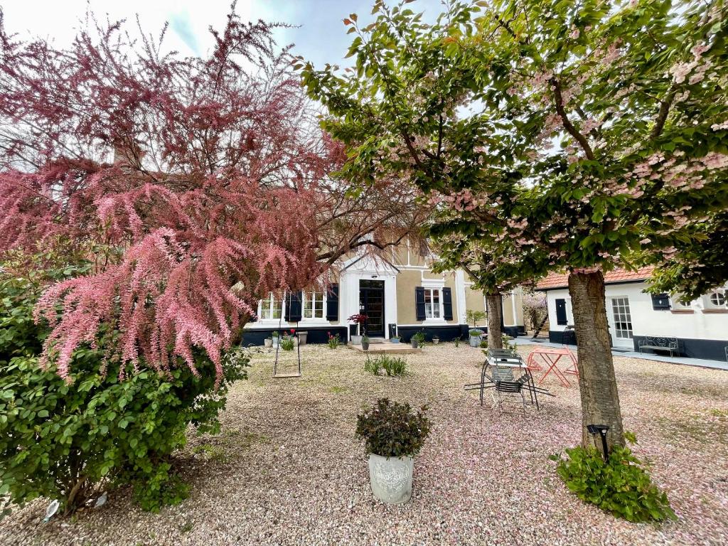 Au Presbytère de Saigneville photo 3