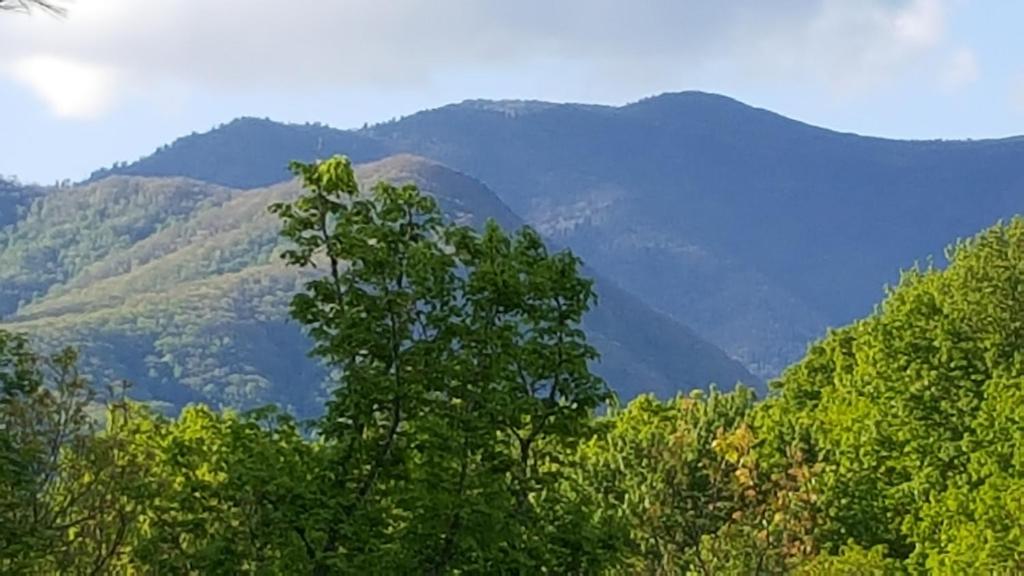 Mountain Serenity image