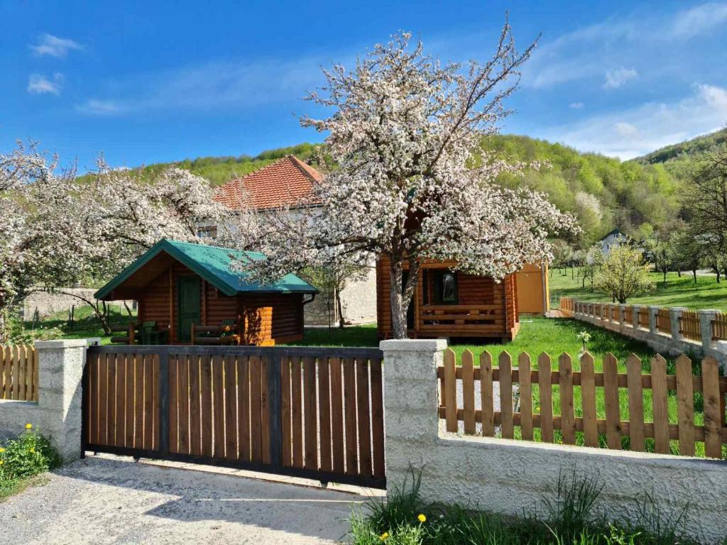 Guest house Green Garden photo 3