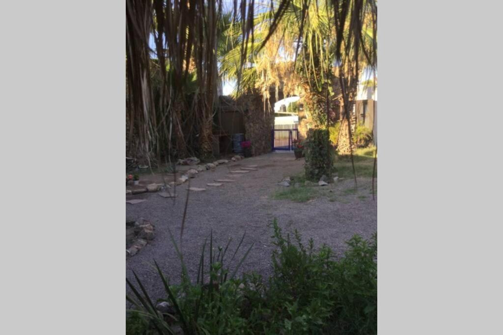 Villa Puerta Azul at La Casa de Frida photo 4
