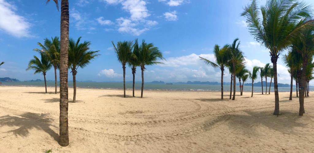 Hạ Long New Century Hotel