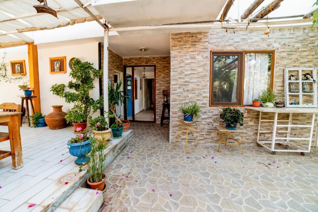 Eucalyptus Pension photo 3