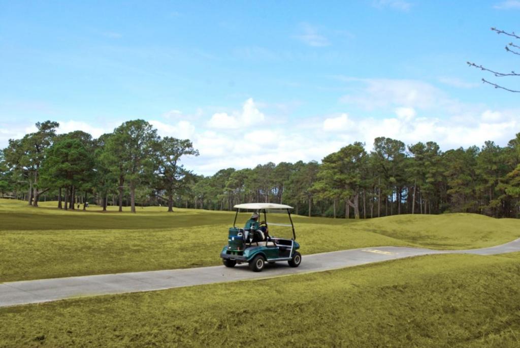 Magnolia Place by Palmetto Vacations image