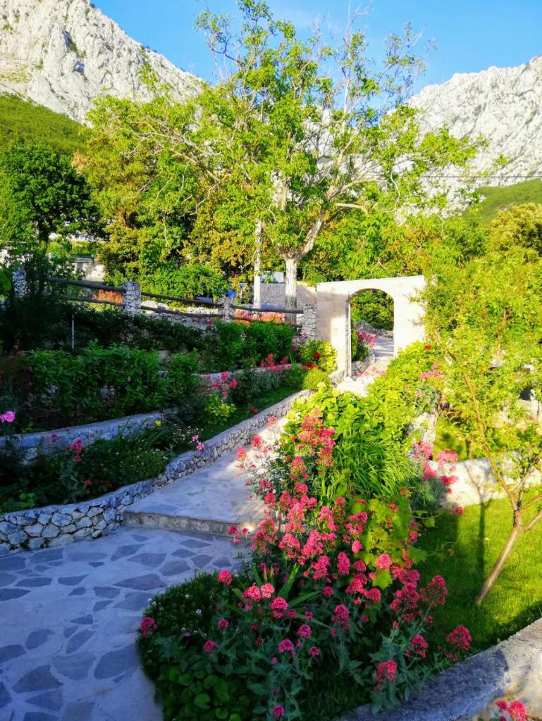 Villa Marija photo 4