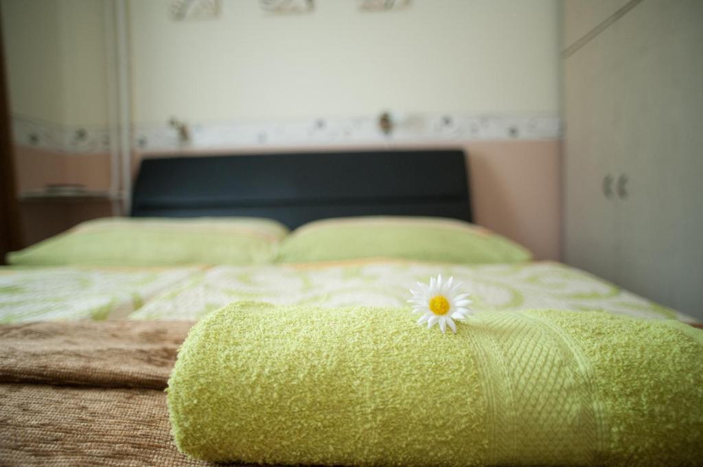 Студио (Номер-студио), Oleander Apartman