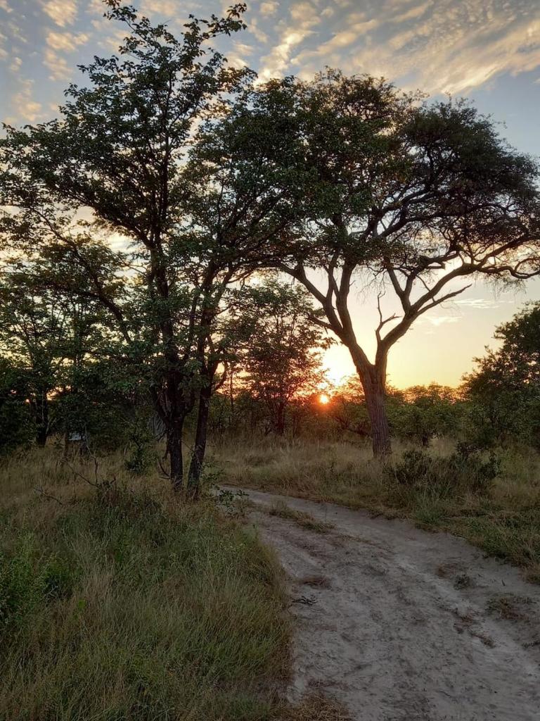 Mankwe Camping photo 1