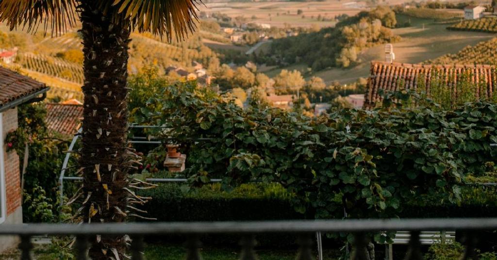 CASA ANGIOLINA - Casa vacanze con vista sulle colline photo 4