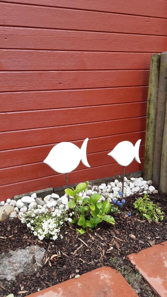 Haus Strandflieder photo 2