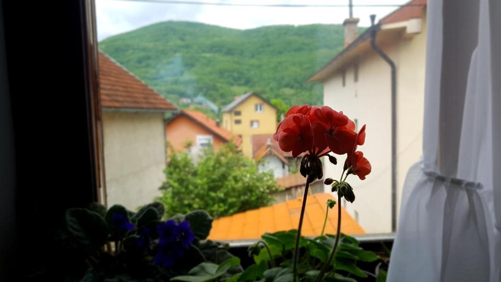 Apartman Jovanović photo 4