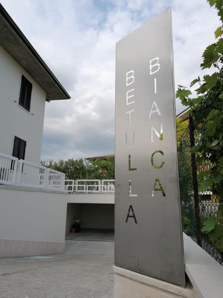 BETULLA BIANCA photo 3