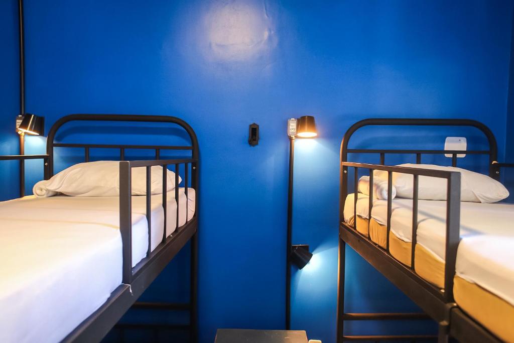ÔVibe Party Hostel photo 3