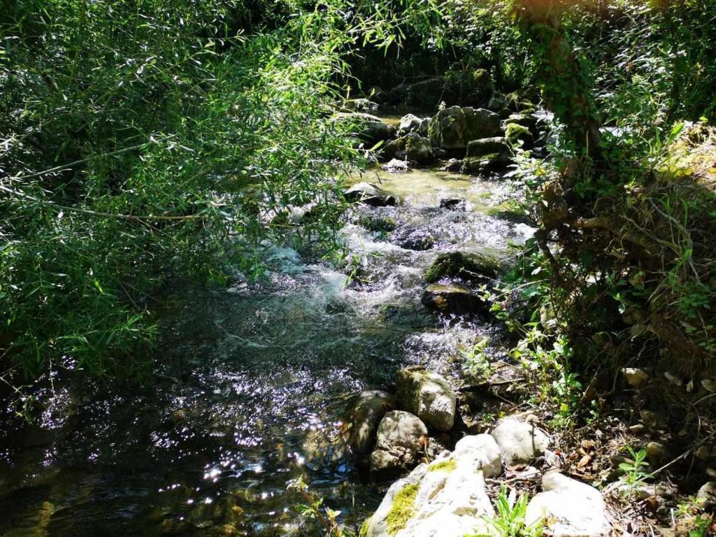 Molino dei Ciliegi Splendida villa in Umbria photo 1