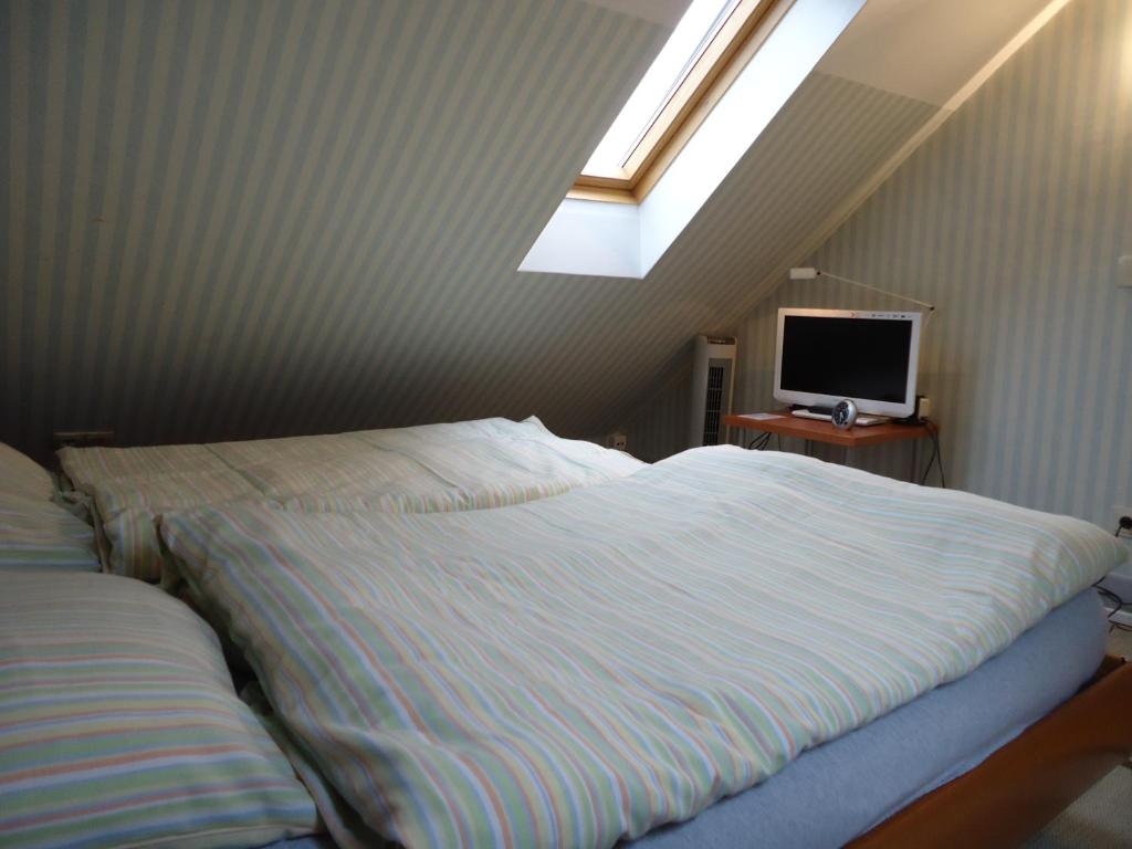 Апартаменты (Двухуровневые апартаменты), Air Boardinghouse Tulip