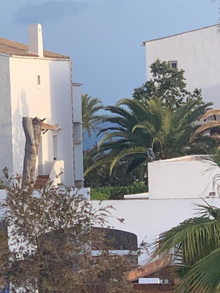 Residencia Cala Dorada photo 4