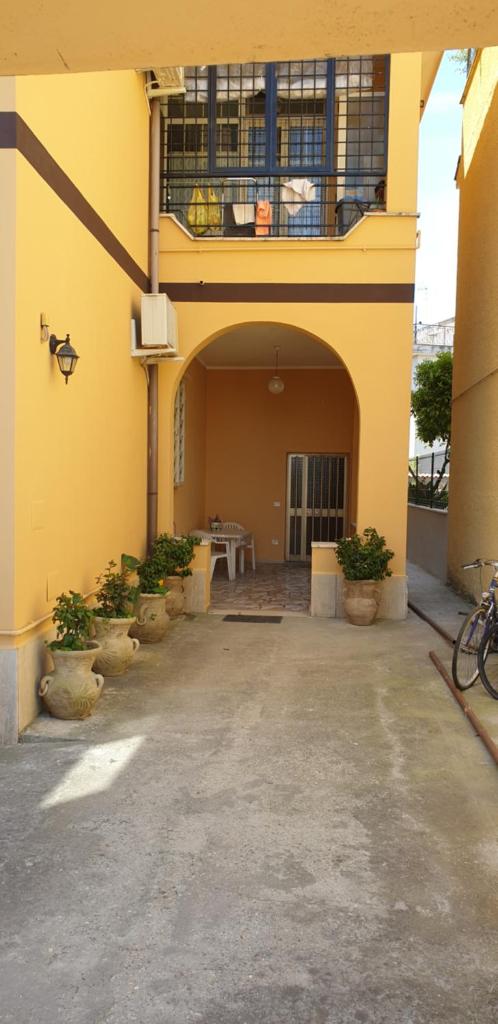 Girasole photo 3