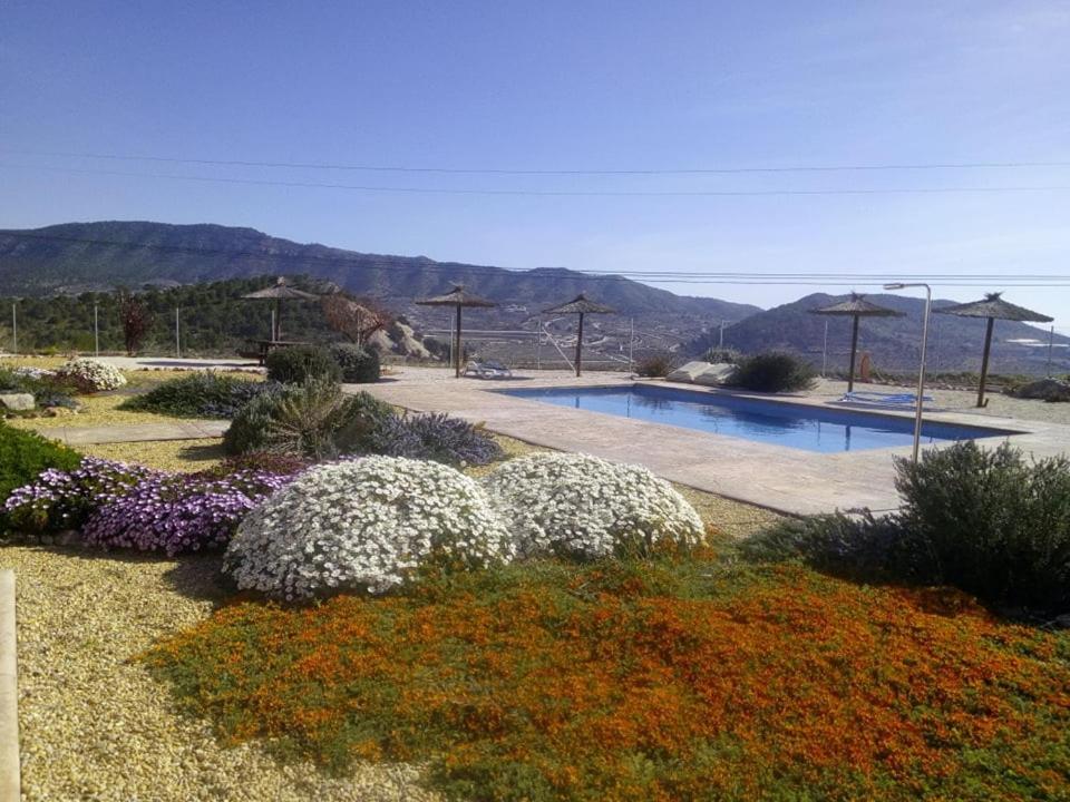 Casa Pasamee photo 2