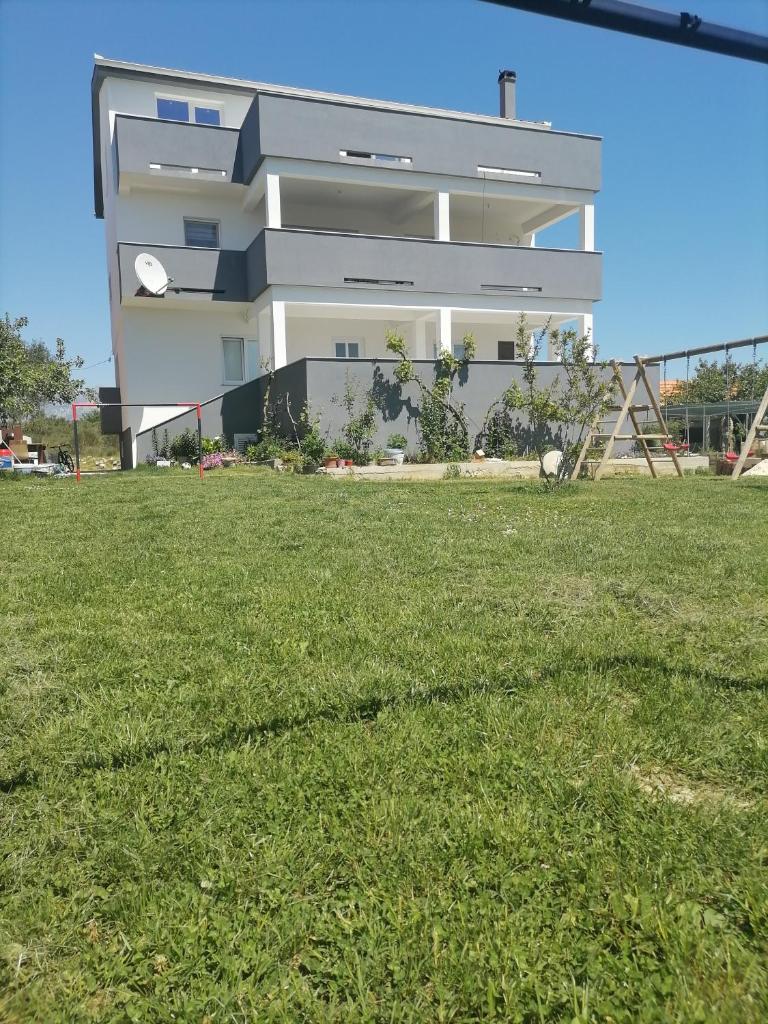 Ante Noa photo 1