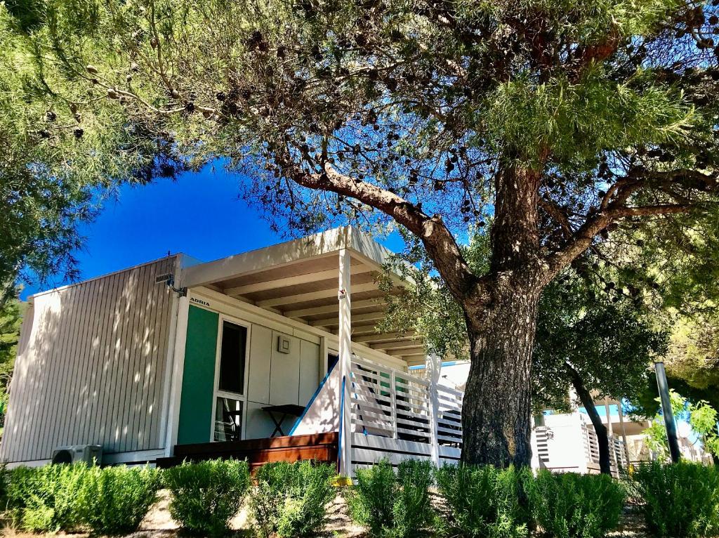 M&L Mobile Home photo 1