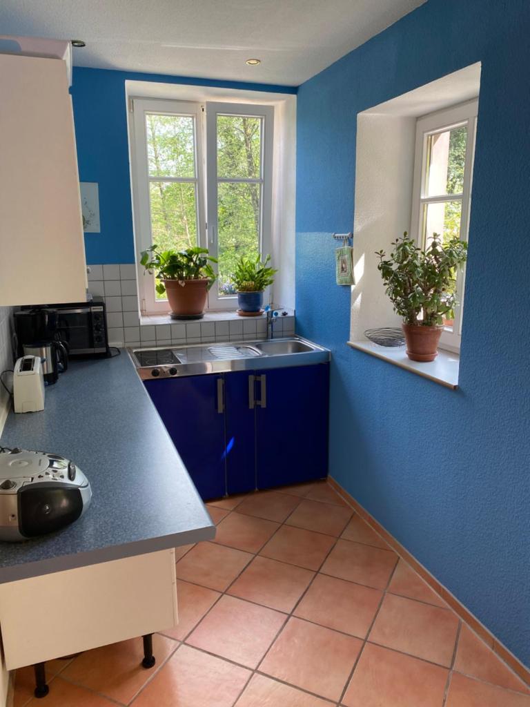 Ferienwohnung Südliche Weinstraße zwischen Wald und Reben photo 2