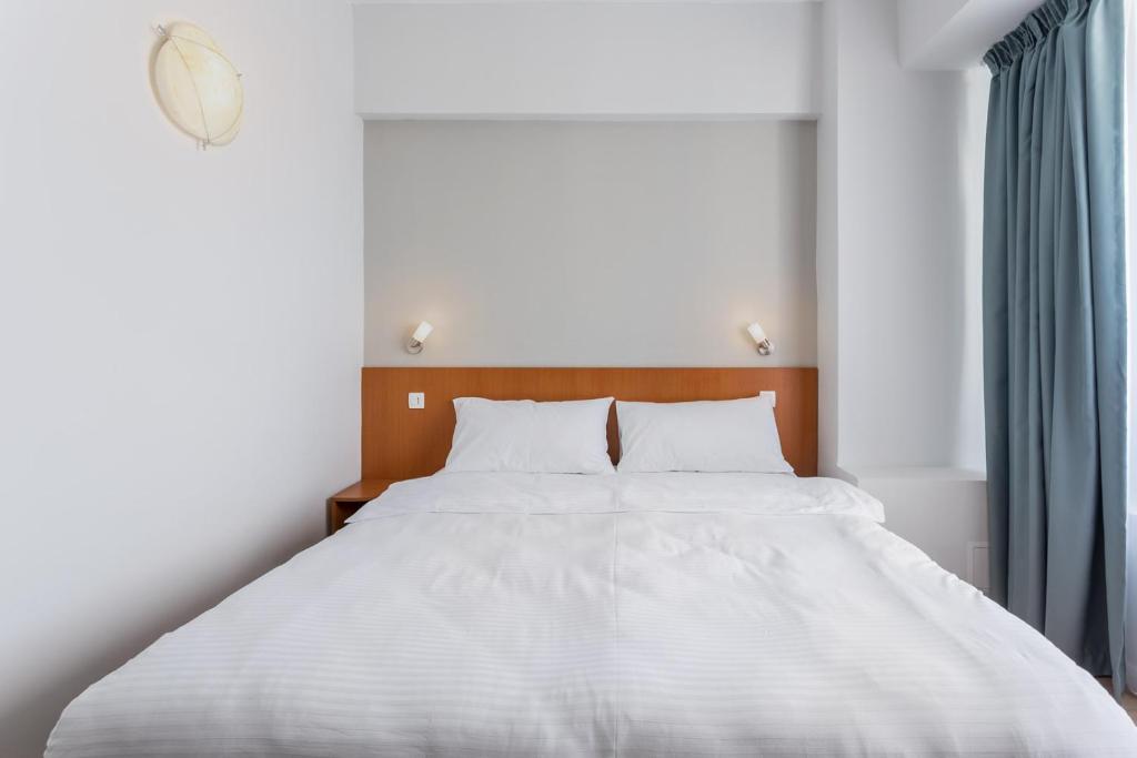Двухместный (Двухместный номер с 1 кроватью), Elizeu Hotel