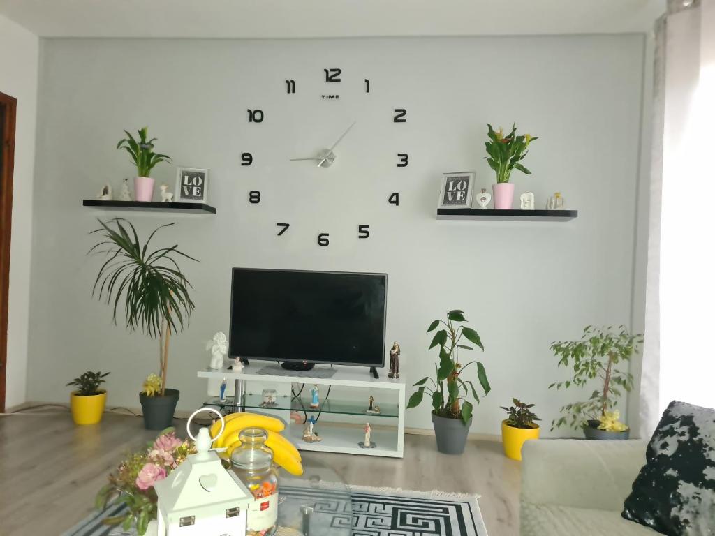 Apartment Danijela photo 1