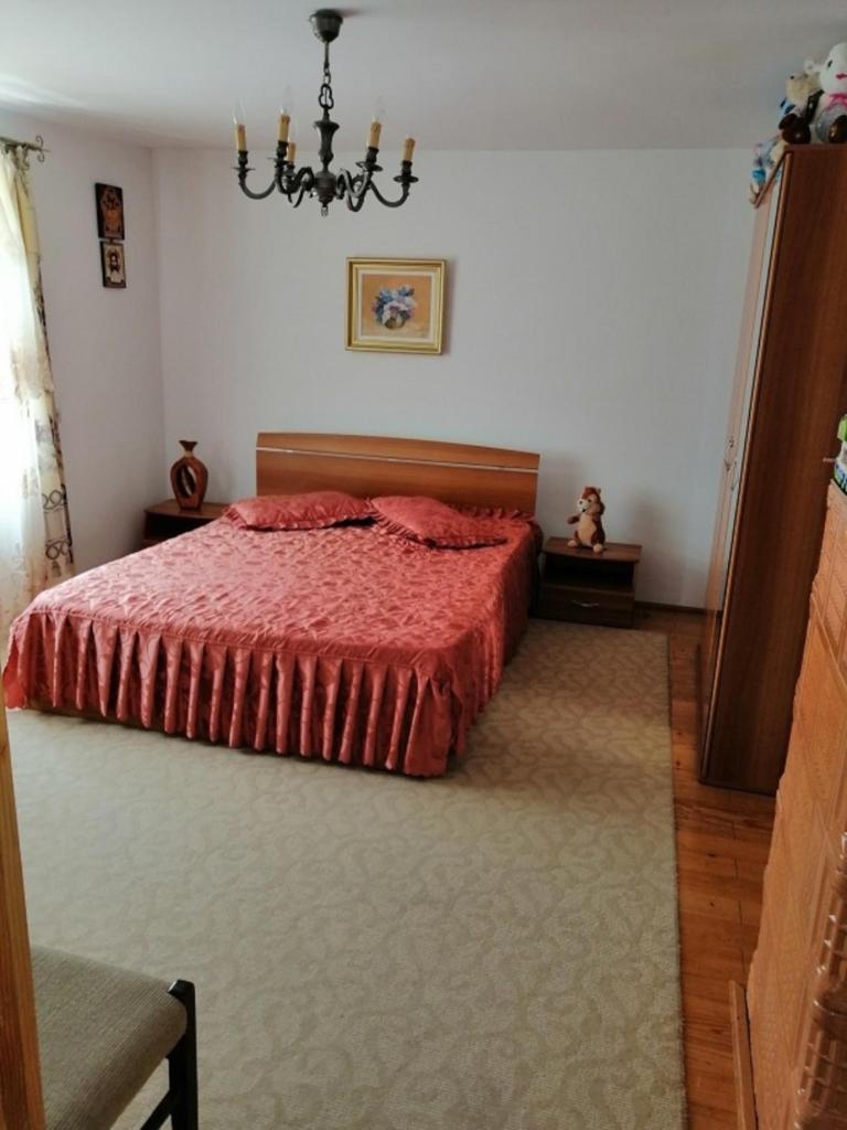 CASA ILEA-Agapia" photo 1