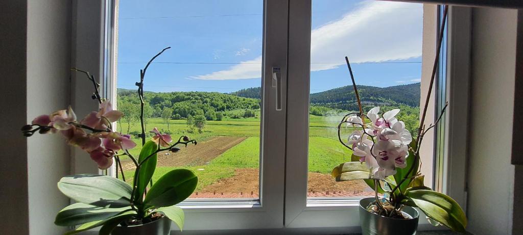 Apartmani Fenestra Tesla i Faust photo 1