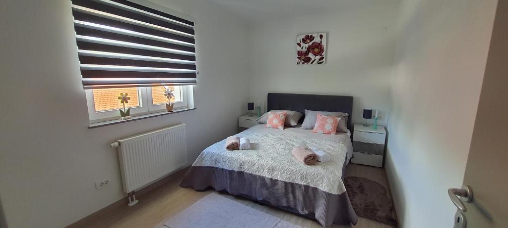Apartmani Fenestra Tesla i Faust photo 2