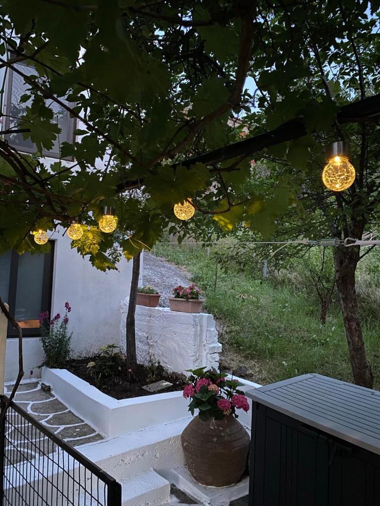 Sevastie’s home photo 4