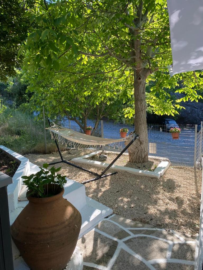 Sevastie’s home photo 2