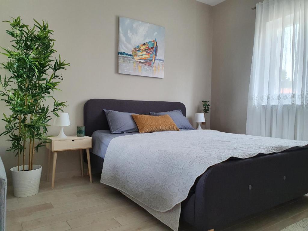 Apartment Danijela photo 2