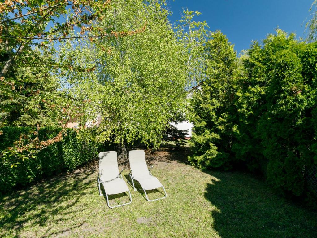 Holiday Home Mathias Rex by Interhome photo 2