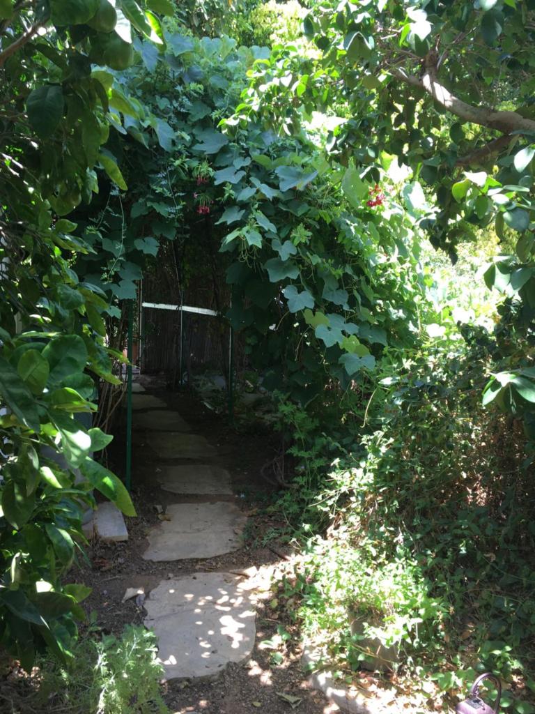 The fruit garden guesthouse photo 1