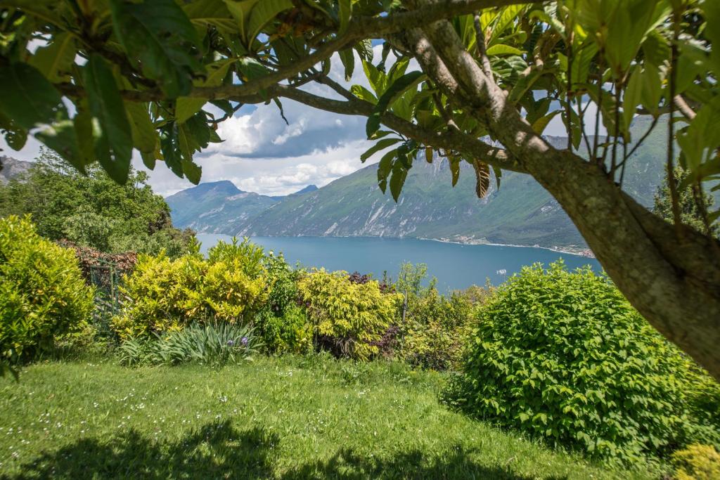 Paradise Garden & View photo 2