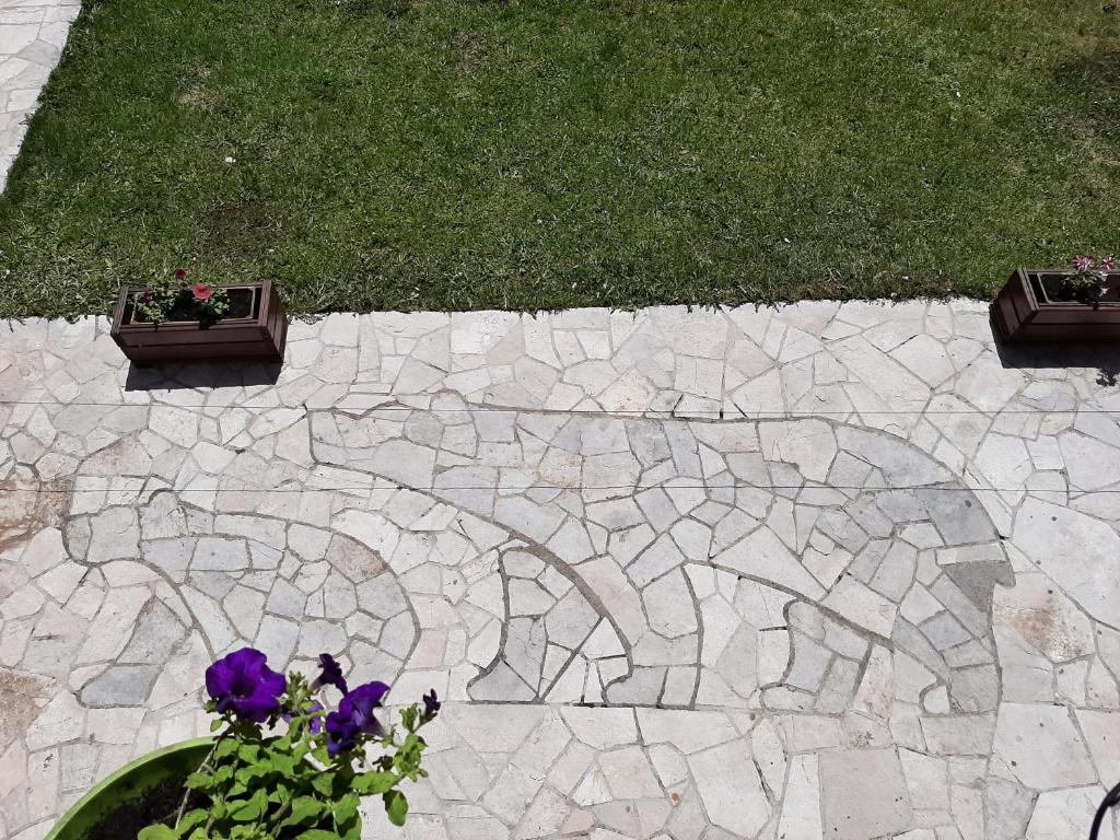 Tanjuška photo 1
