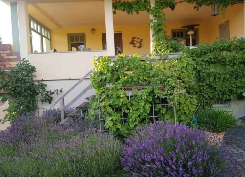 Ferienhaus Schiller photo 1