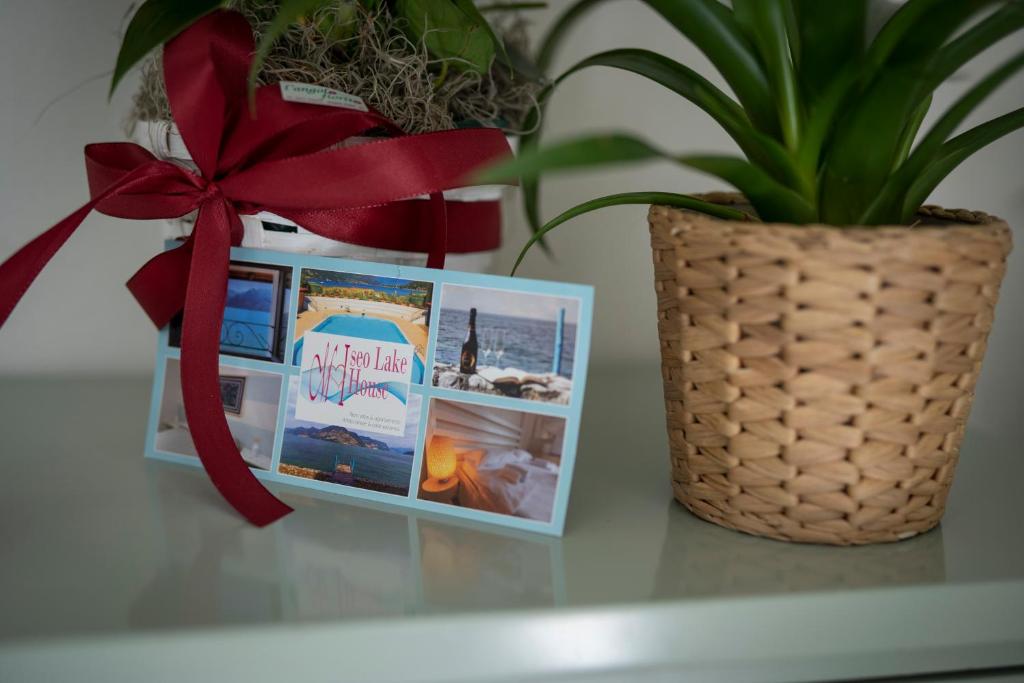 LUISE HOME photo 1