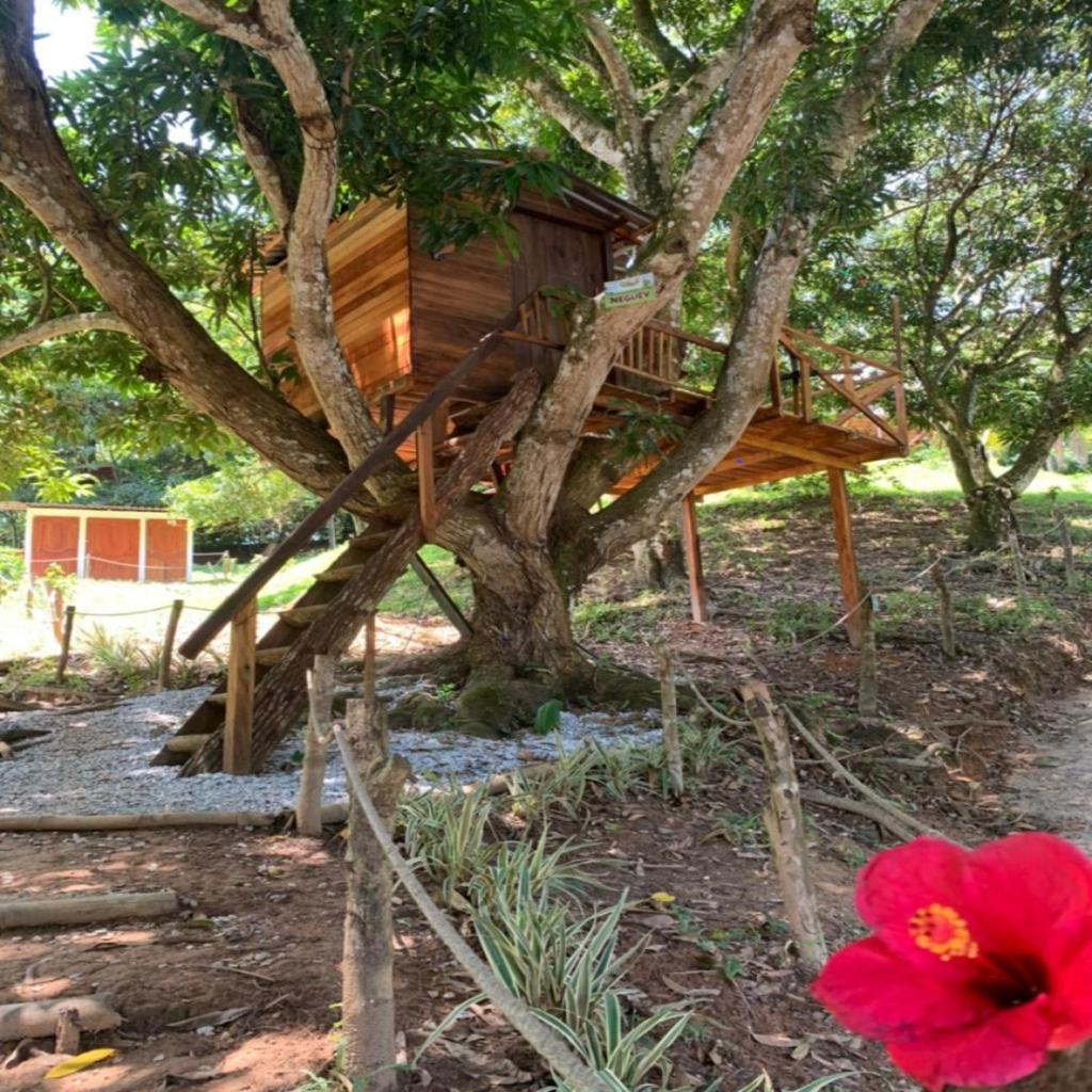 Eco-Glamping Shalom photo 4
