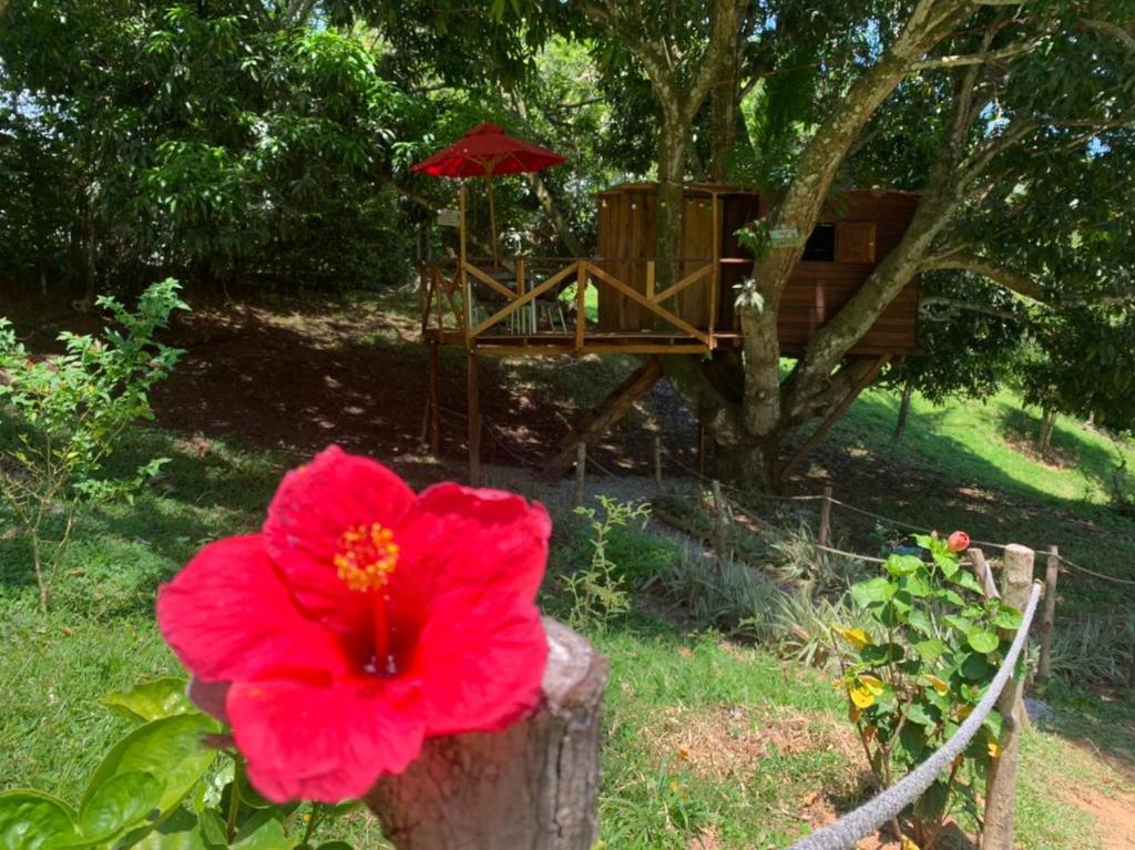 Eco-Glamping Shalom photo 3