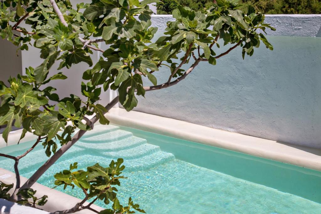 Beachside Villa Agios Sostis photo 3